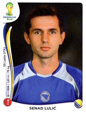 Senad Lulić