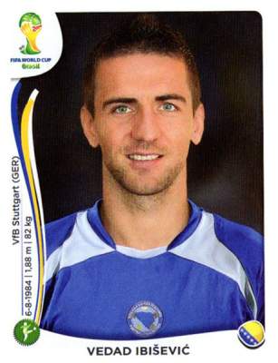 Vedad Ibišević