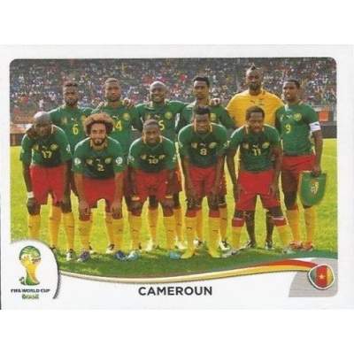 Tým Kamerun