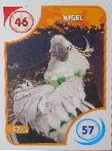 Nigel