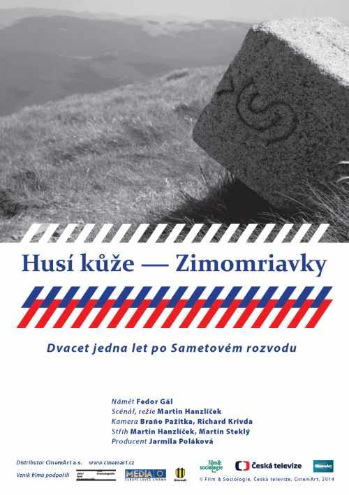 Husí kůže - Zimomriavky