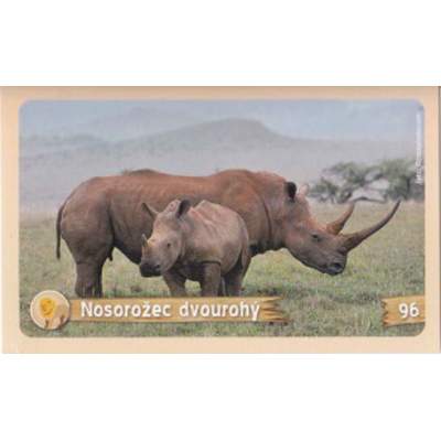 Nosorožec dvouhrbý