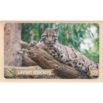 Levhart obláčkový