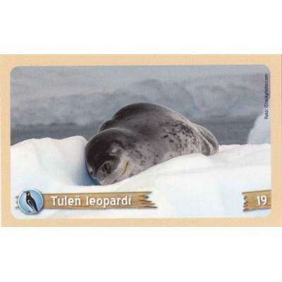 Tuleň leopardí