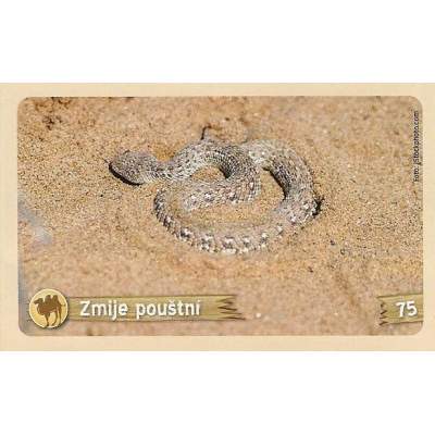 Zmije pouštní