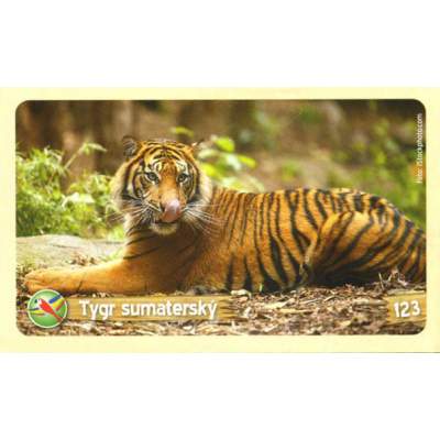 Tygr sumaterský