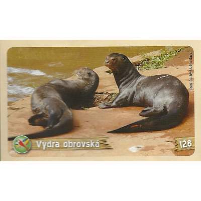 Vydra obrovská