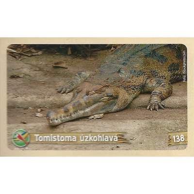 Tomistoma úzkohlavá