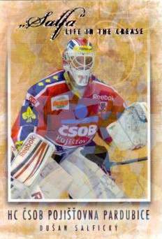	Dušan Salfický - HC ČSOB Pojišťovna Pardubice 