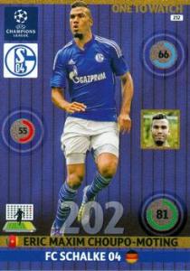 Eric Maxim Choupo-Moting