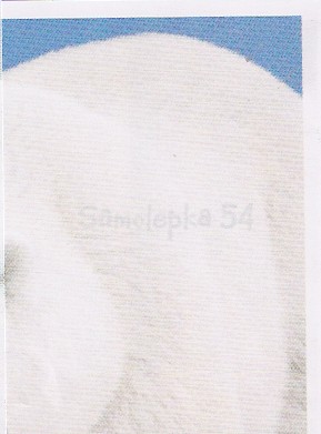 Medvěd lední (2/4)