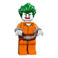 Joker z ústavu Arkham Asylum