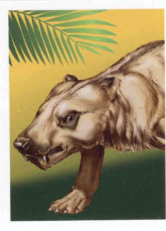 Cynognathus (1/2)