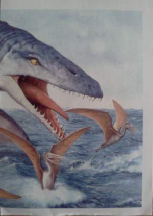 Tylosaurus (2/2)