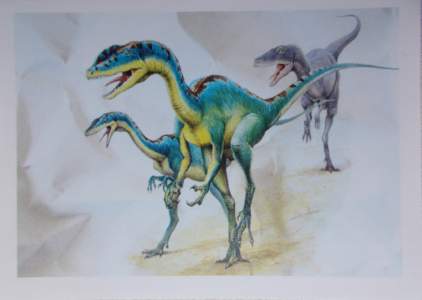 Liliensternus