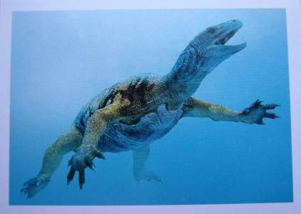 Odontochelys