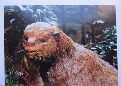 Obří lenochod (1/2)