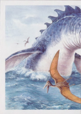 Tylosaurus (1/2)