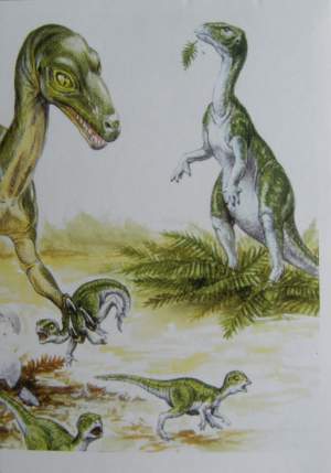 Troodon (2/2)