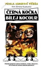 Černá kočka, bílej kocour