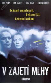 V zajetí mlhy