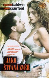 Jako štvaná zvěř