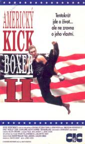 Americký kickboxer II