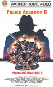 Policejní akademie 6