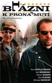 Blázni k pronajmutí