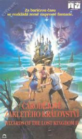 Čarodějové zakletého království