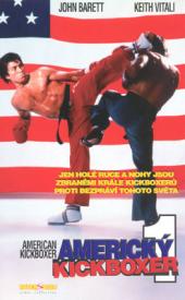 Americký kickboxer 1