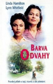 Barva odvahy