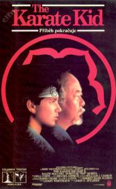 Karate Kid: Příběh pokračuje