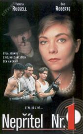 Nepřítel Nr.1