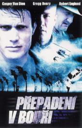 Přepadení v bouři