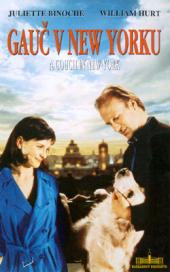 Gauč v New Yorku
