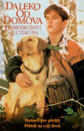 Daleko od domova