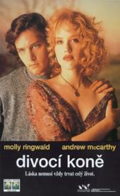 Divocí koně