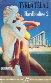 Tvrdá těla 2