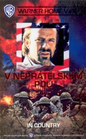 V nepřátelském poli