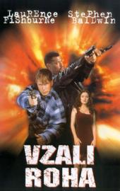 Vzali roha