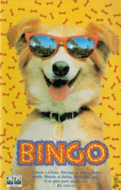 Bingo