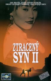 Ztracený syn II