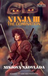 Ninjova nadvláda