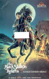 Návrat černého hřebce