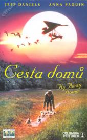 Cesta domů