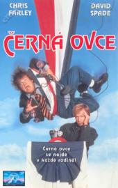 Černá ovce