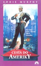 Cesta do Ameriky