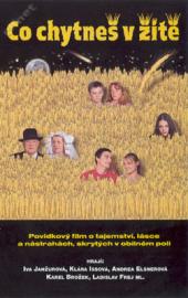 Co chytneš v žitě