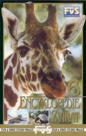 Encyklopedie zvířat 6